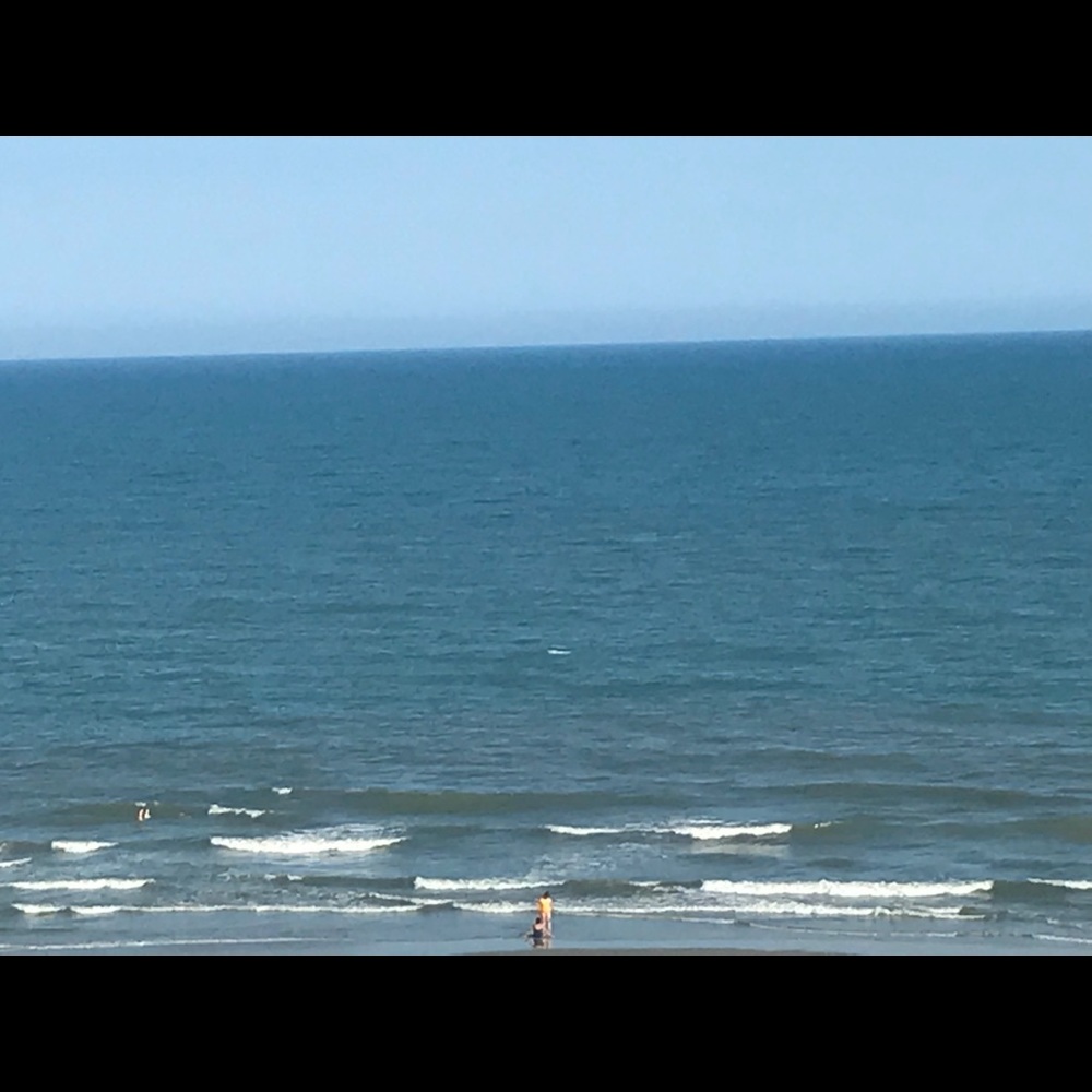 Meet your Posher, Deidre